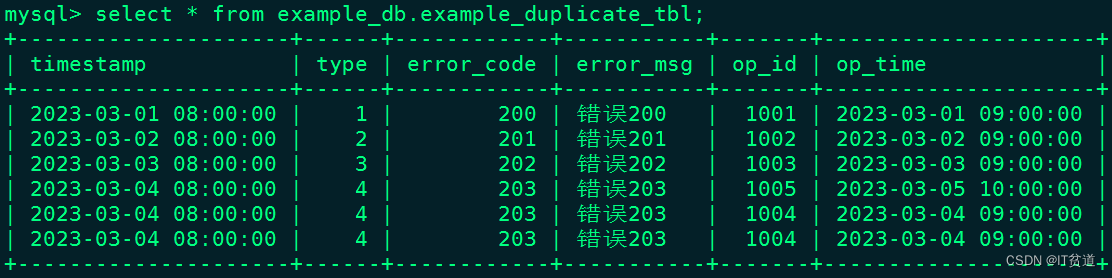 Apache Doris (十三) ：数据存储模型之Duplicate数据存储模型