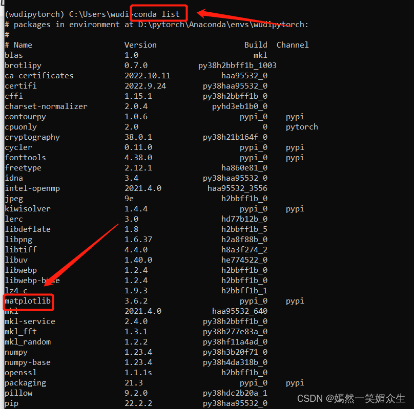 一站式解决深度学习中安装了包但是依然导入(import)失败这一问题，以ModuleNotFoundError No module named ‘matplotlib’为例。_装了