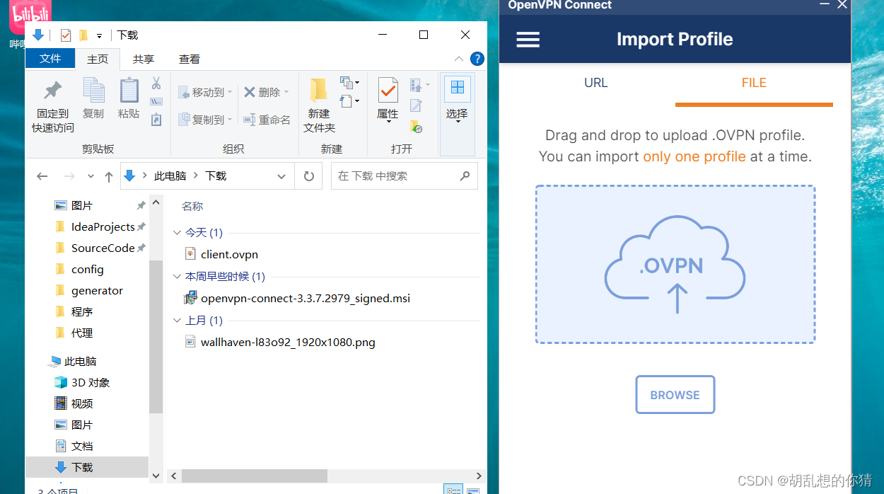 左面是已经下载下来的client.ovpn文件