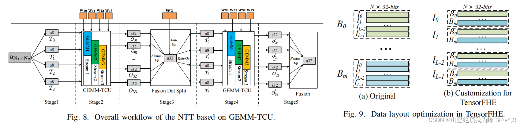 NTT 的各类优化：Harvey、PtNTT，Intel AVX2、ARM Neon、GPGPU