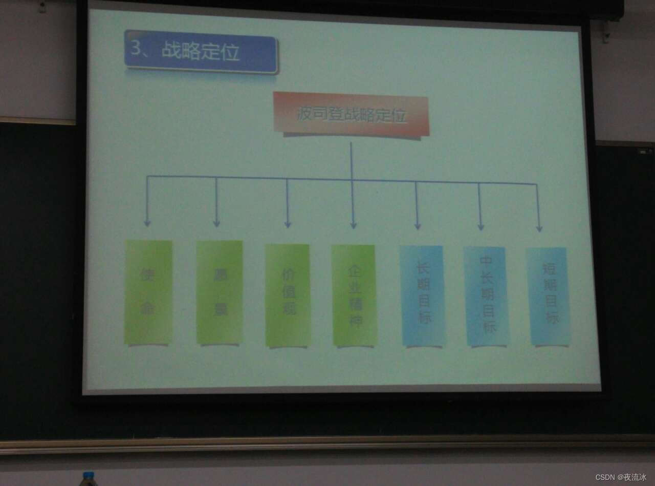 企业管理 - 波司登战略管理解析
