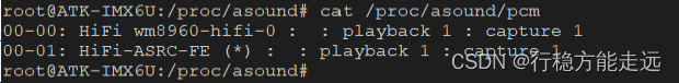 Figure 28.3.6 List all PCM devices in the system