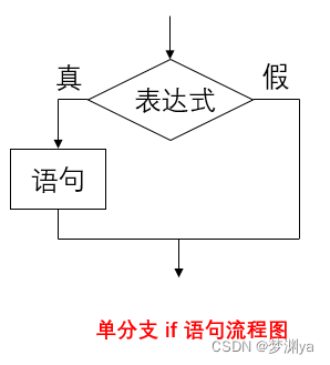 Single branch if statement flow chart