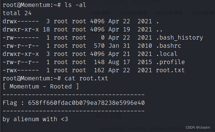 Vulnhub: Momentum: 1靶机