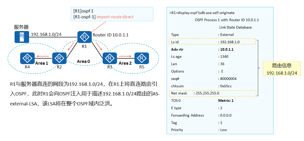 【华为IP阶段OSPF1】--- LSA讲解（前五类）