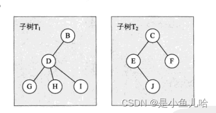 《Java数据结构》这些树和二叉树的性质你还记得吗？