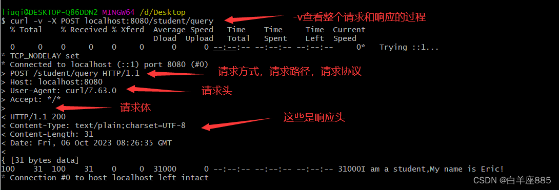 curl查看整个请求和响应的过程