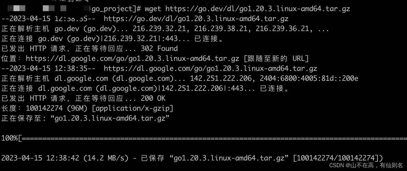 Linux服务器上安装Golang_linux 安装go 1.20-CSDN博客