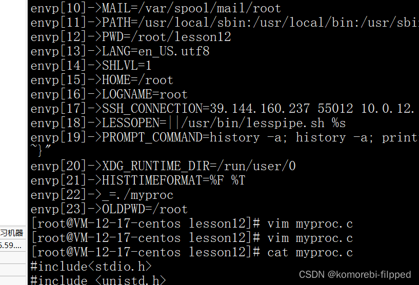 Linux环境变量