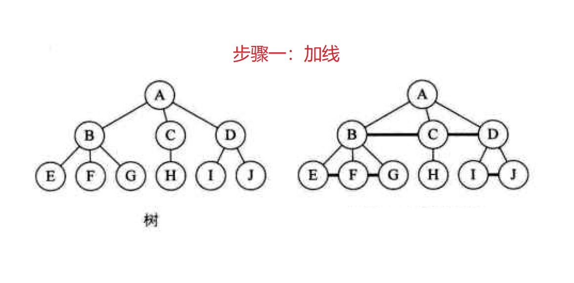 树转二叉树加线