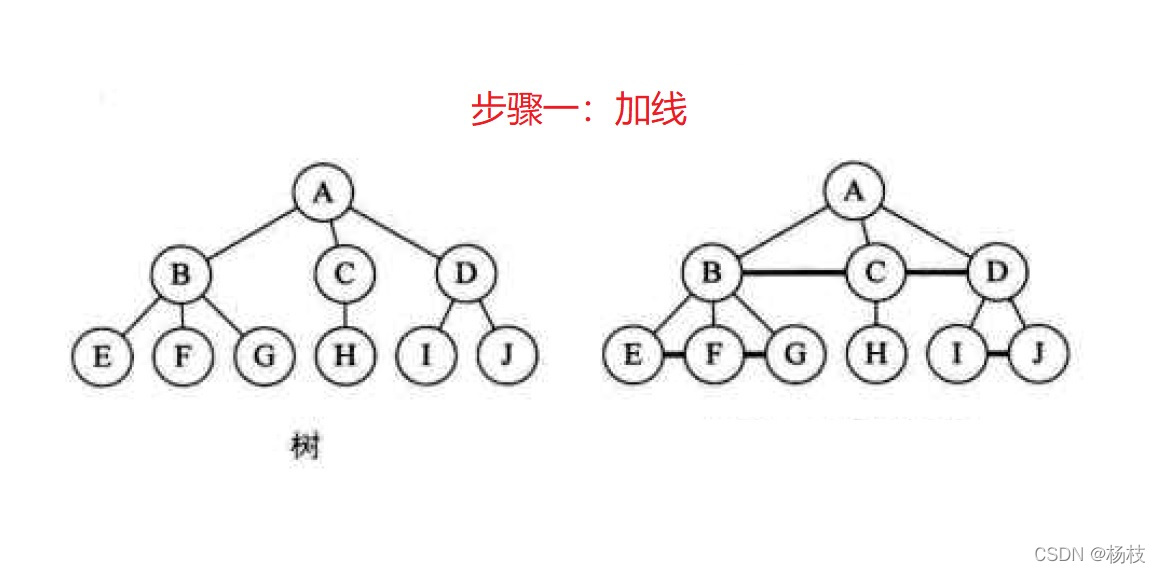 树转二叉树加线