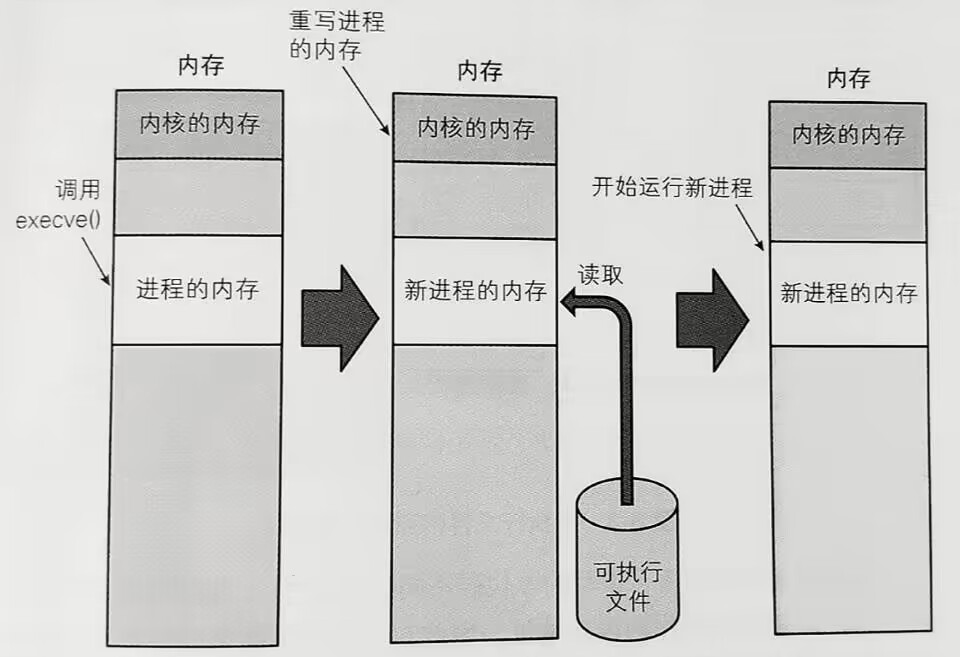 Linux——进程管理篇（详解fork和exec）