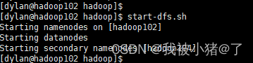 【Hadoop篇】启动hdfs集群时，提示： ERROR: Cannot set priority of zkfc process 5668