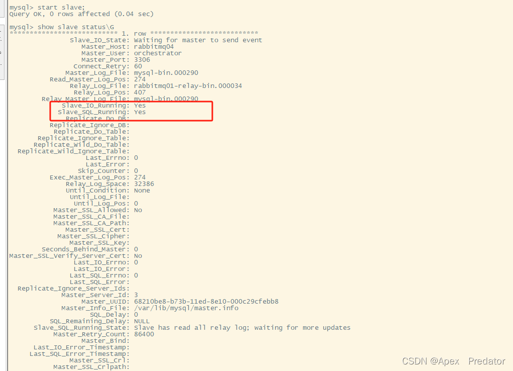 Mysql gtid 