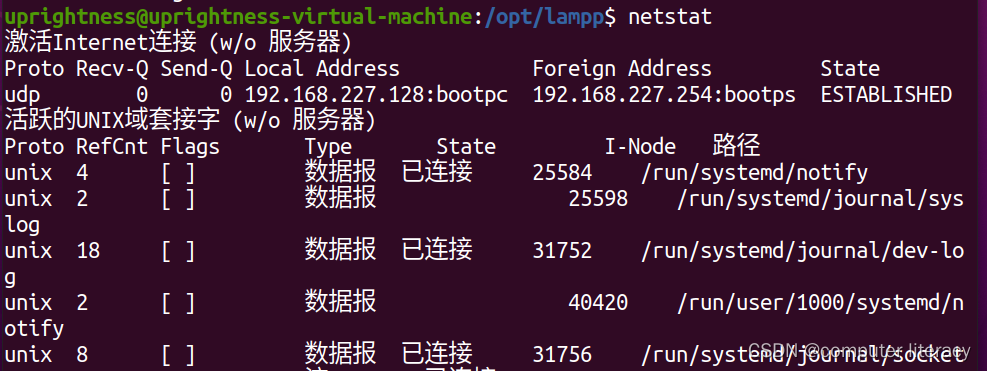 如何安装xampp(linux版)-CSDN博客