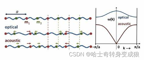 一维双原子链的色散关系