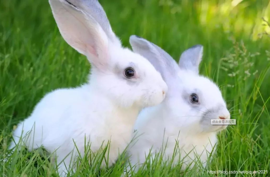 股票大跌期权对冲