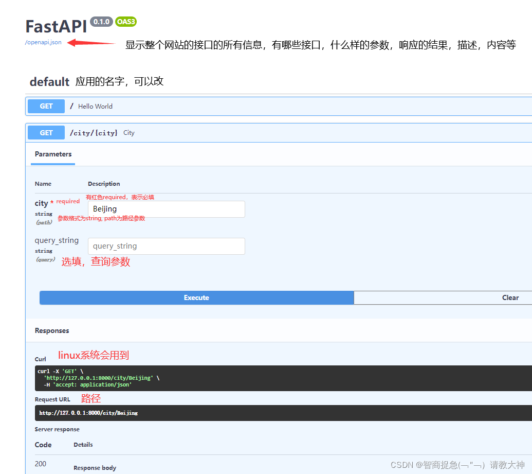 FastAPI学习Day2_fastapi 接口字段注解-CSDN博客