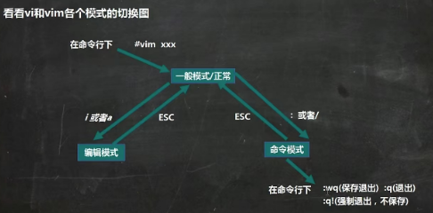  【第一章 Linux目录结构，网络连接三种模式，vi和vim】
