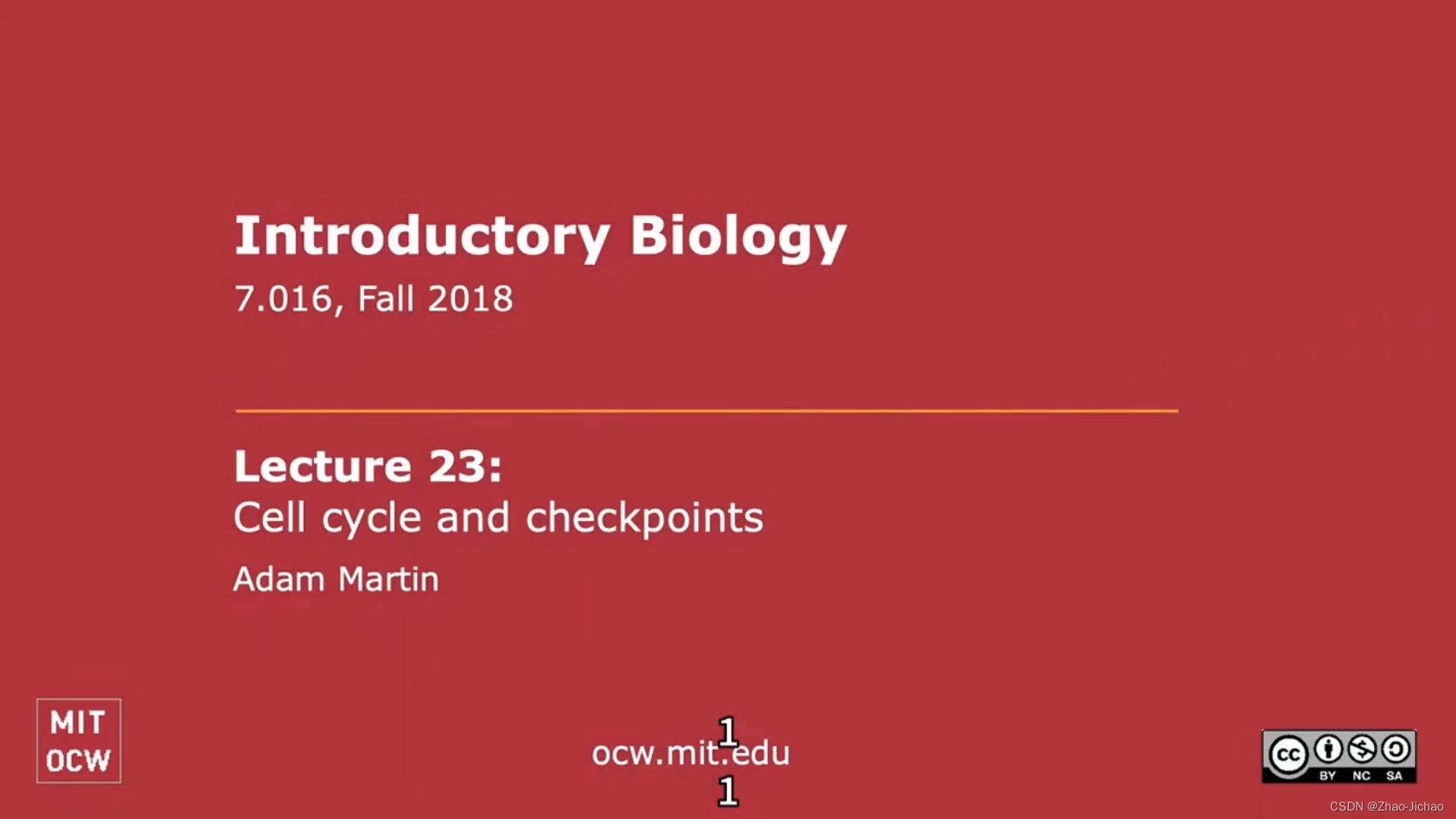 【Introductory Biology】Lecture 23 - Cell Cycle And Checkpoints 细胞周期和检查点 ...