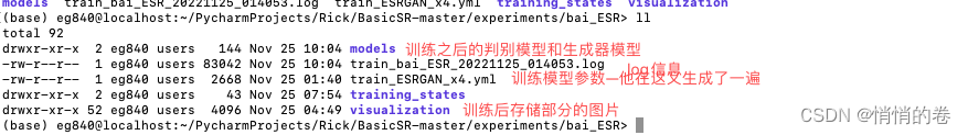 BasicSR的使用过程