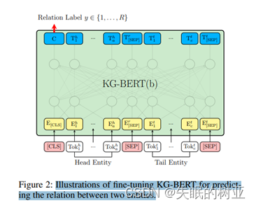 微调KG-BERT以预测两个实体之间关系的图示