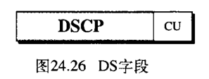 图24.26 DS字段