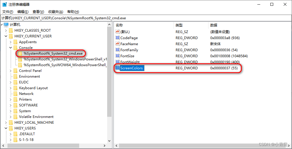 cmd.exe注册表项配置