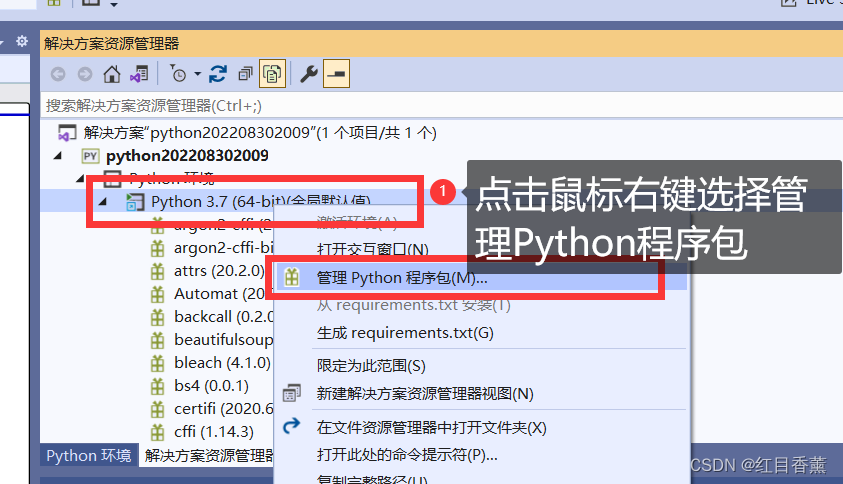 猿创征文｜Python基础——Visual Studio版本——Web开发