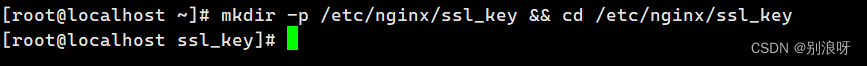 nginx--HTTPS服务