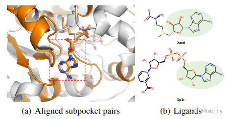 fig1