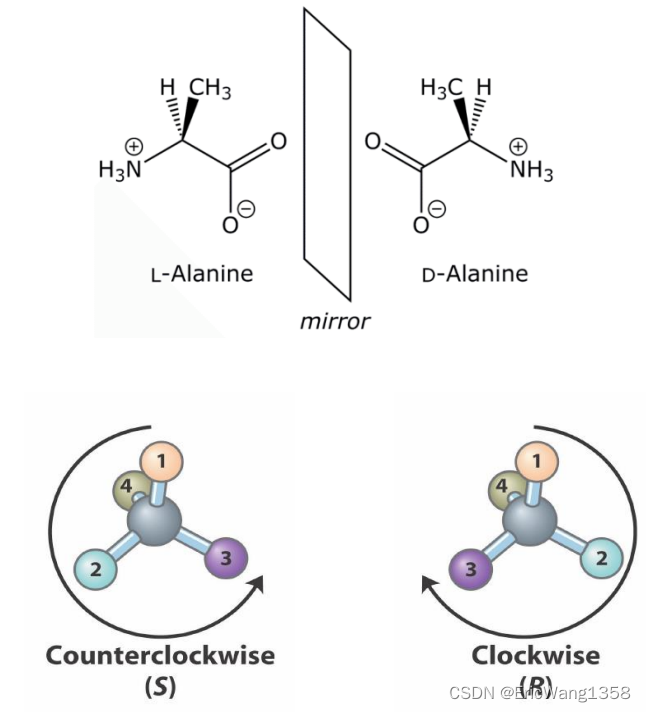 R/S nomenclature for chiral center