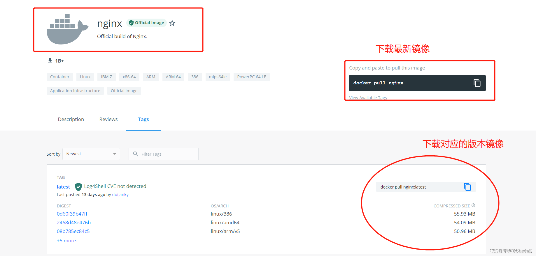 Nginx 入门