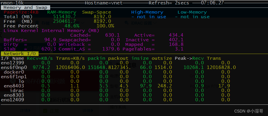 iperf3跑满100G网卡实测记录