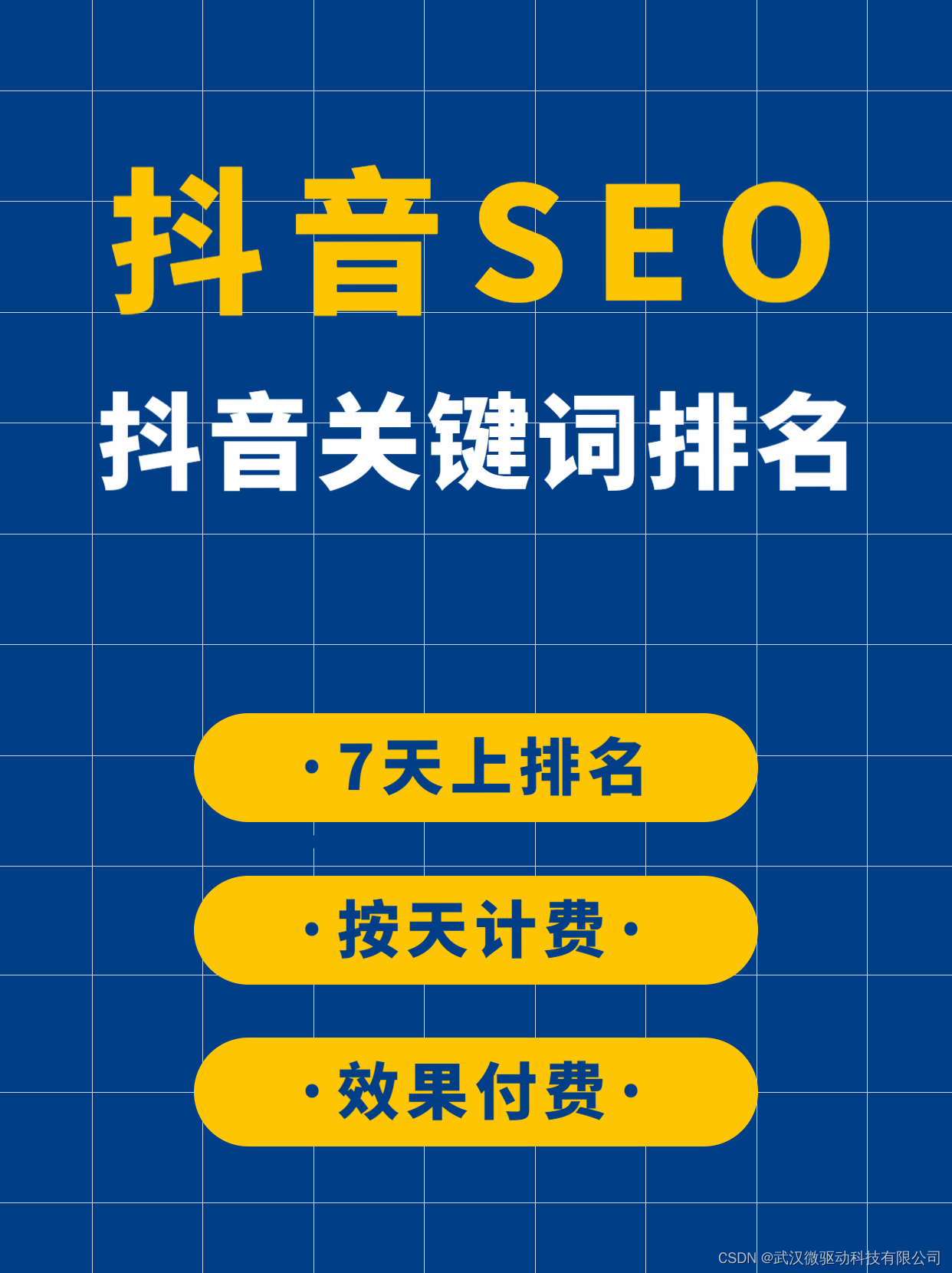 武汉抖音seo,抖音关键词排名