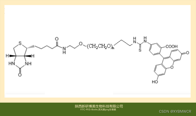 FITC-PEG-Biotin,Biotin-PEG-Fluorescein,荧光素PEG生物素生物标记物用试剂