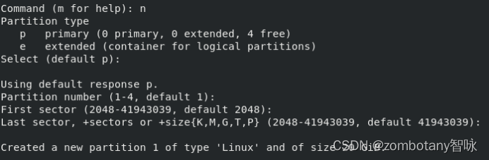 图31 在新的磁盘内创建新分区