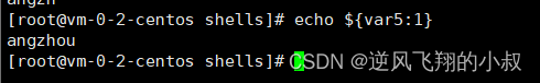 【linux】shell 编程之字符串与数组
