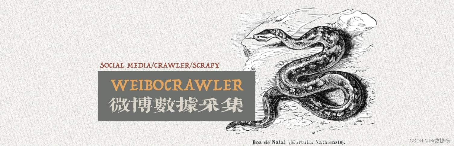 某博数据挖掘：使用Scrapy构建自定义数据采集提取洞察信息