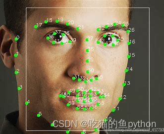 计算机视觉项目-人脸识别与检测