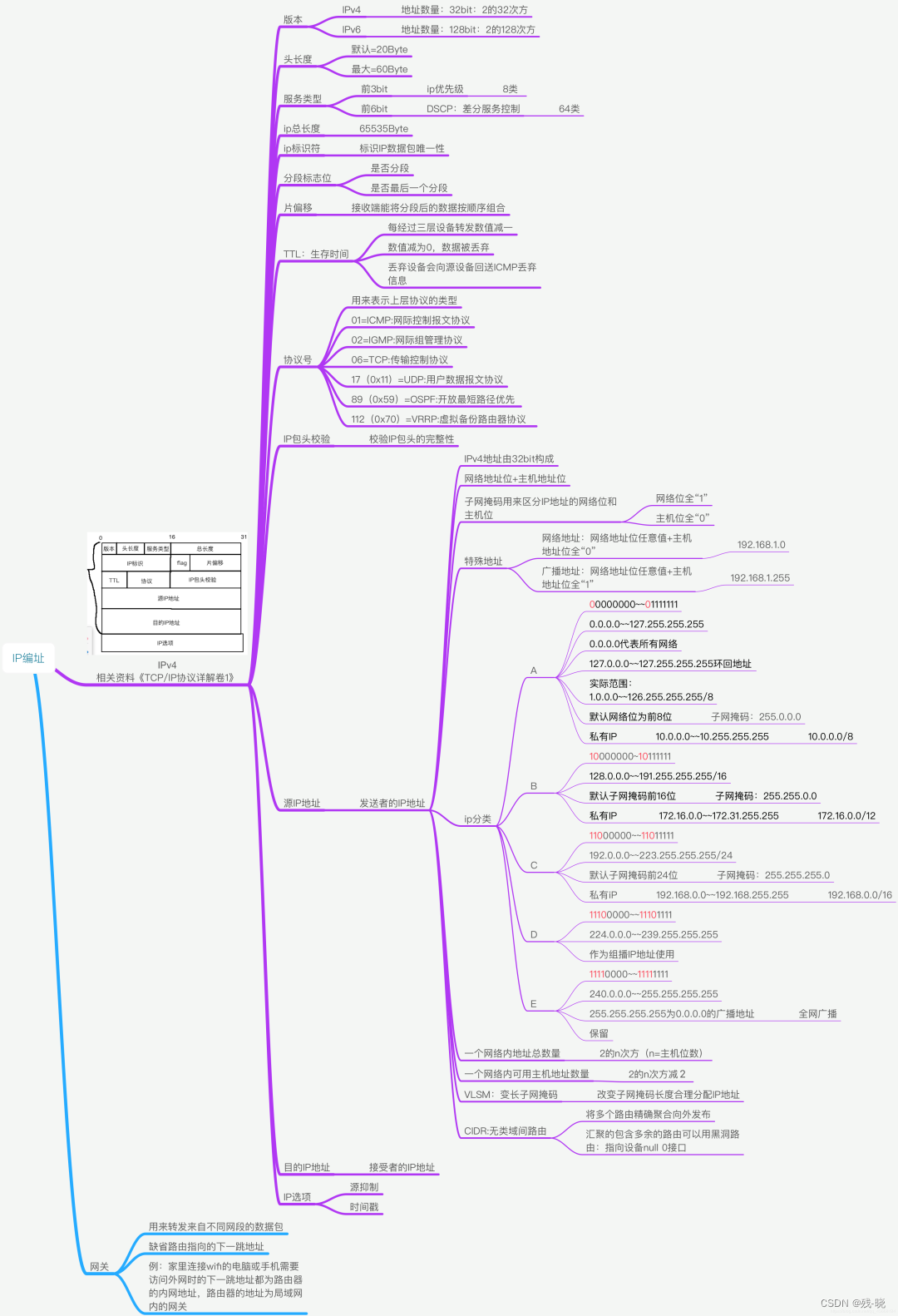 IP-Adressierung