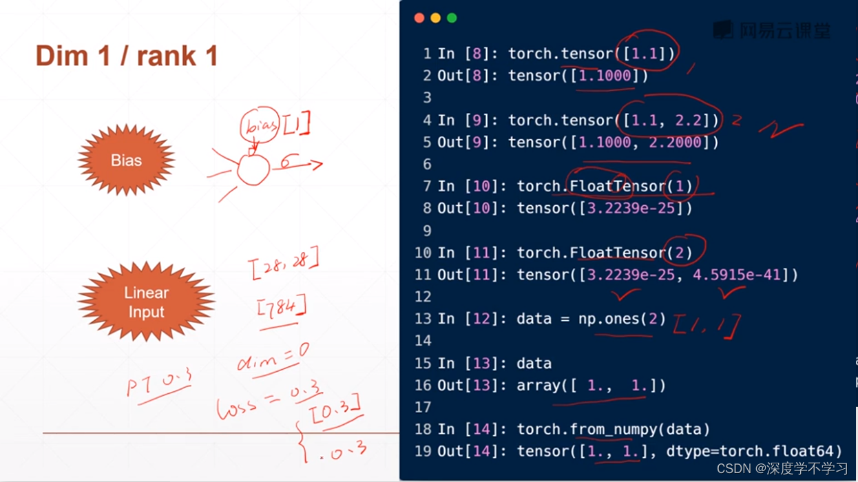 Pytorch学习笔记2_python 三维矩阵.size(1)是第几维的大小-CSDN博客