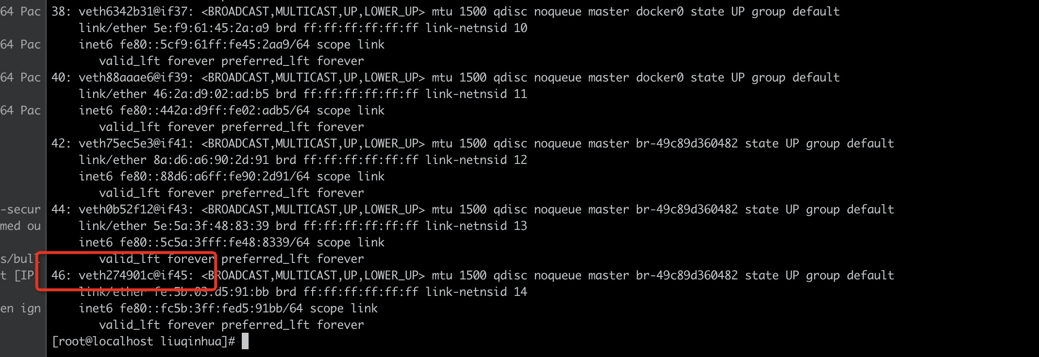 宿主机网卡信息