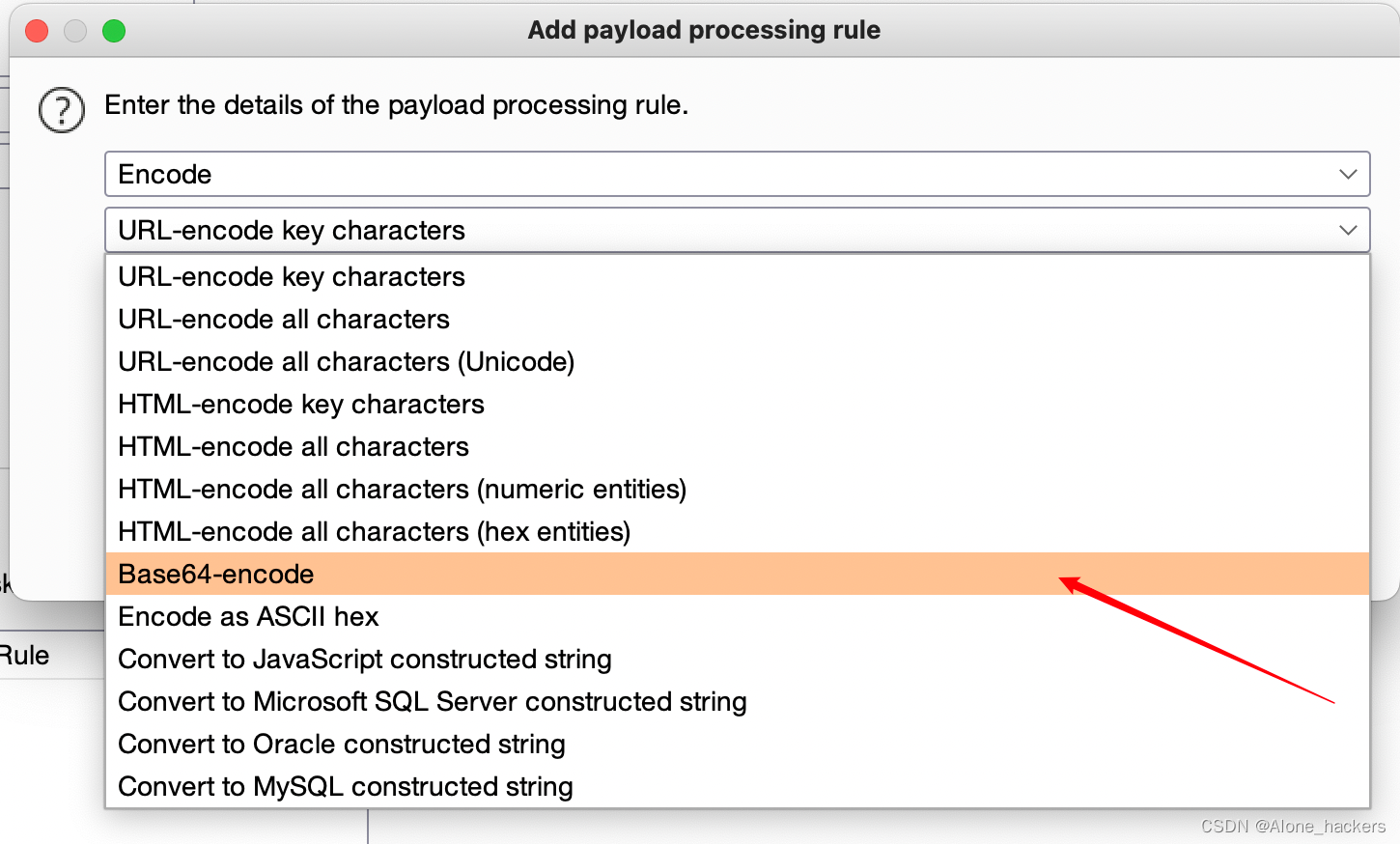 burp suite intruder payloads