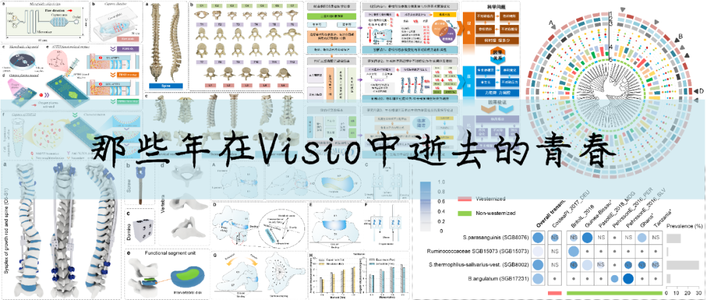 科研绘图 | Visio用到出神入化是什么程度？_visio科研绘图