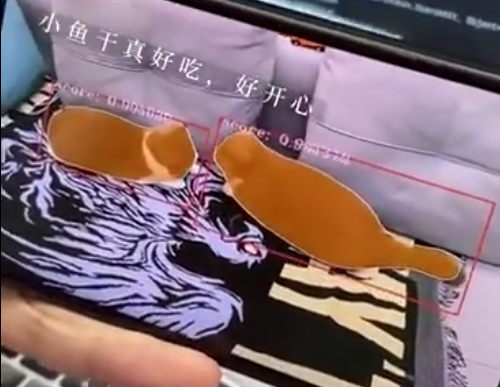 谁说技术男不浪漫！90 后程序员 2 天做出猫咪情绪识别软件
