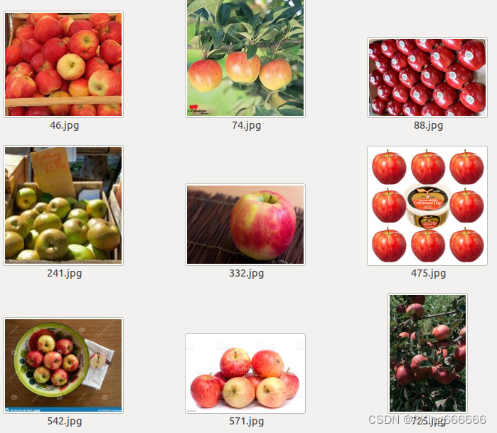 水果数据集(Fruit-Dataset )+水果分类识别训练代码(支持googlenet, resnet, inception_v3, mobilenet_v2)