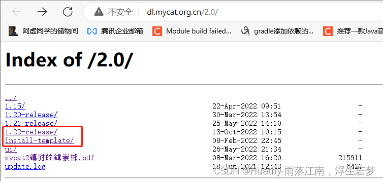 Mycat2（二）windows搭建mycat2、mycat2相关概念、配置文件解释