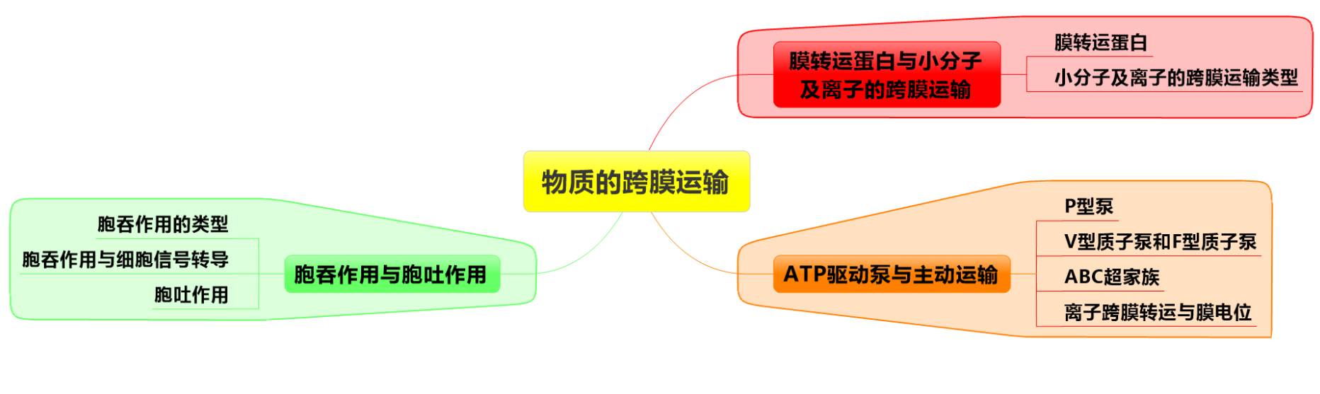 主动运输动画图图片