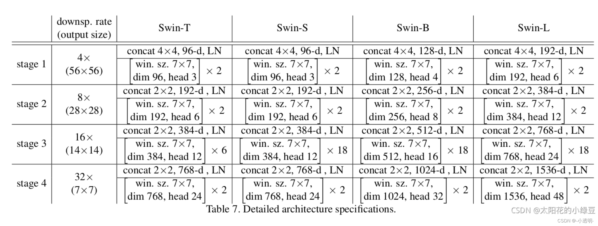 swin-transformer